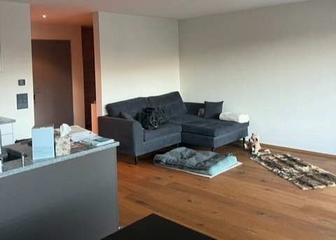 appartamento arredato di 1 ½ locali, foto 1 di 3