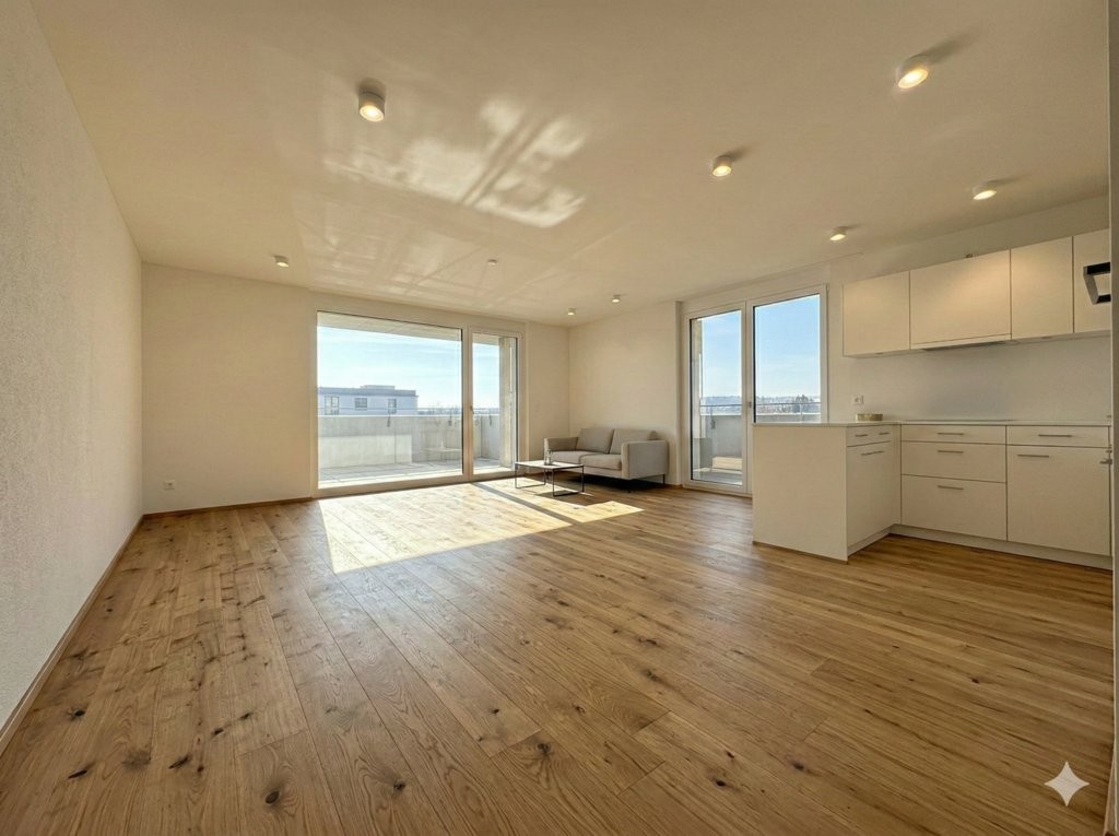 4 ½ rooms apartment