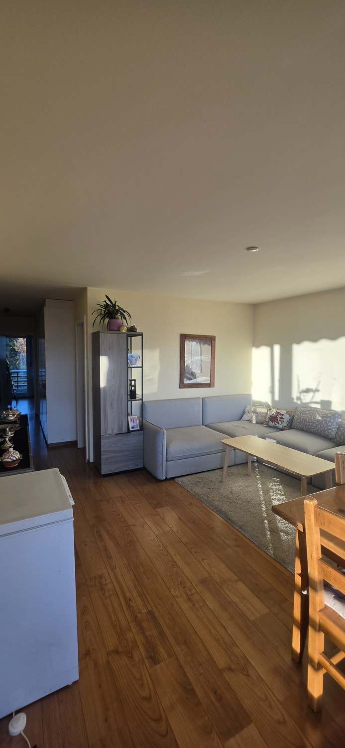 Appartamento di 2 ½ locali, foto 1 di 10
