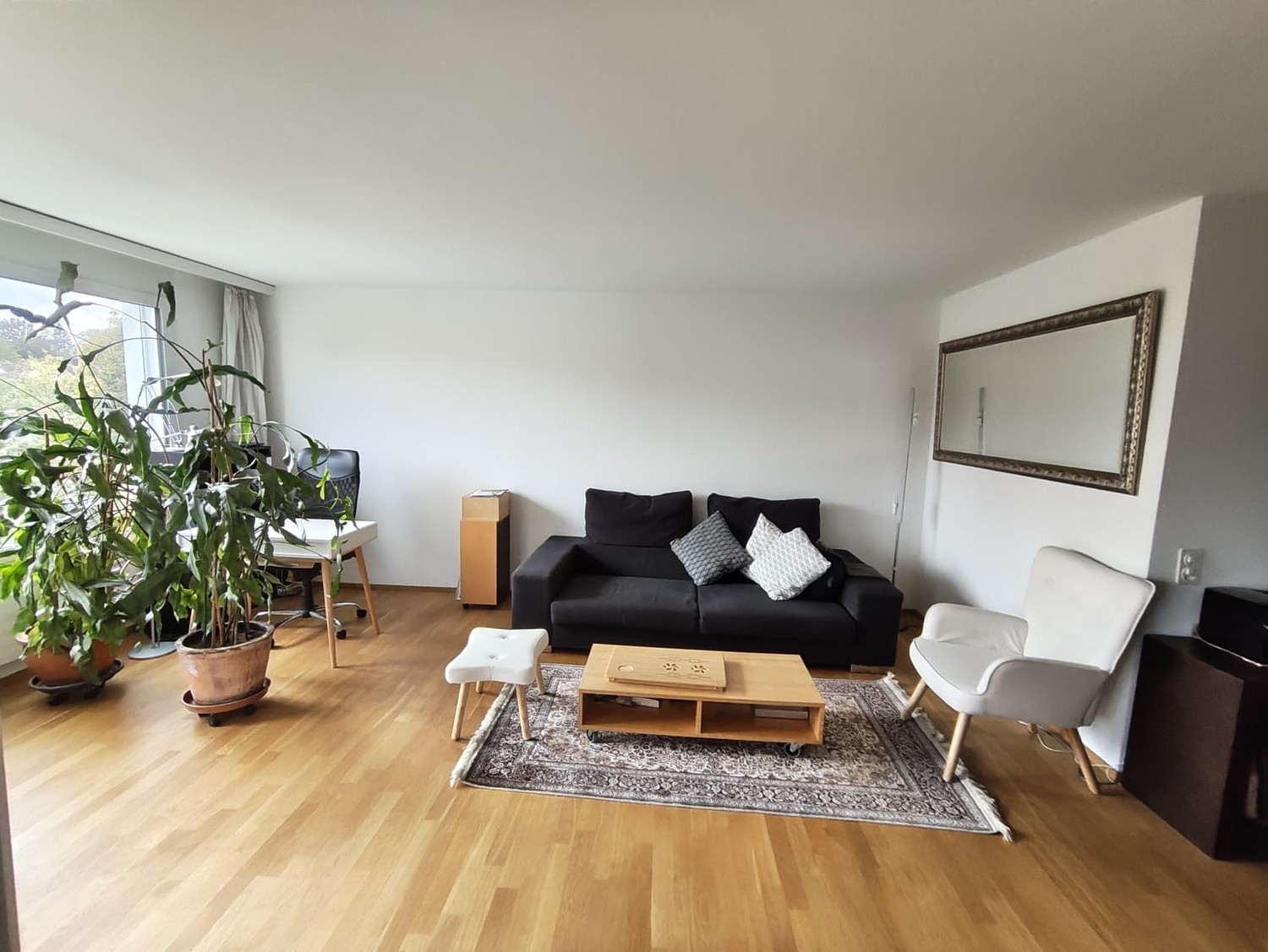 Appartamento di 2 ½ locali, foto 1 di 9