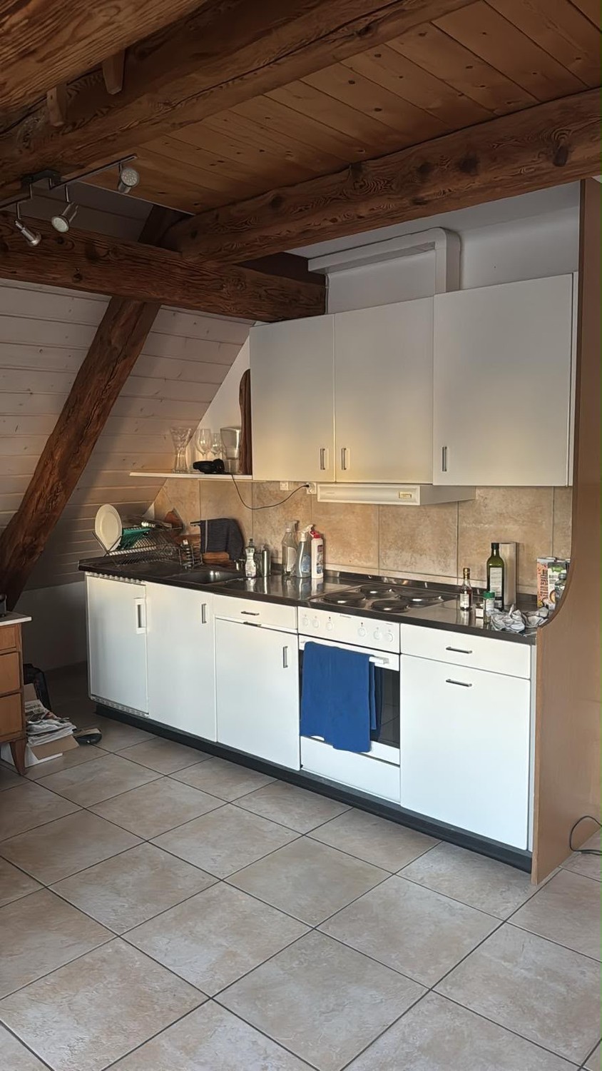 4 ½ rooms apartment