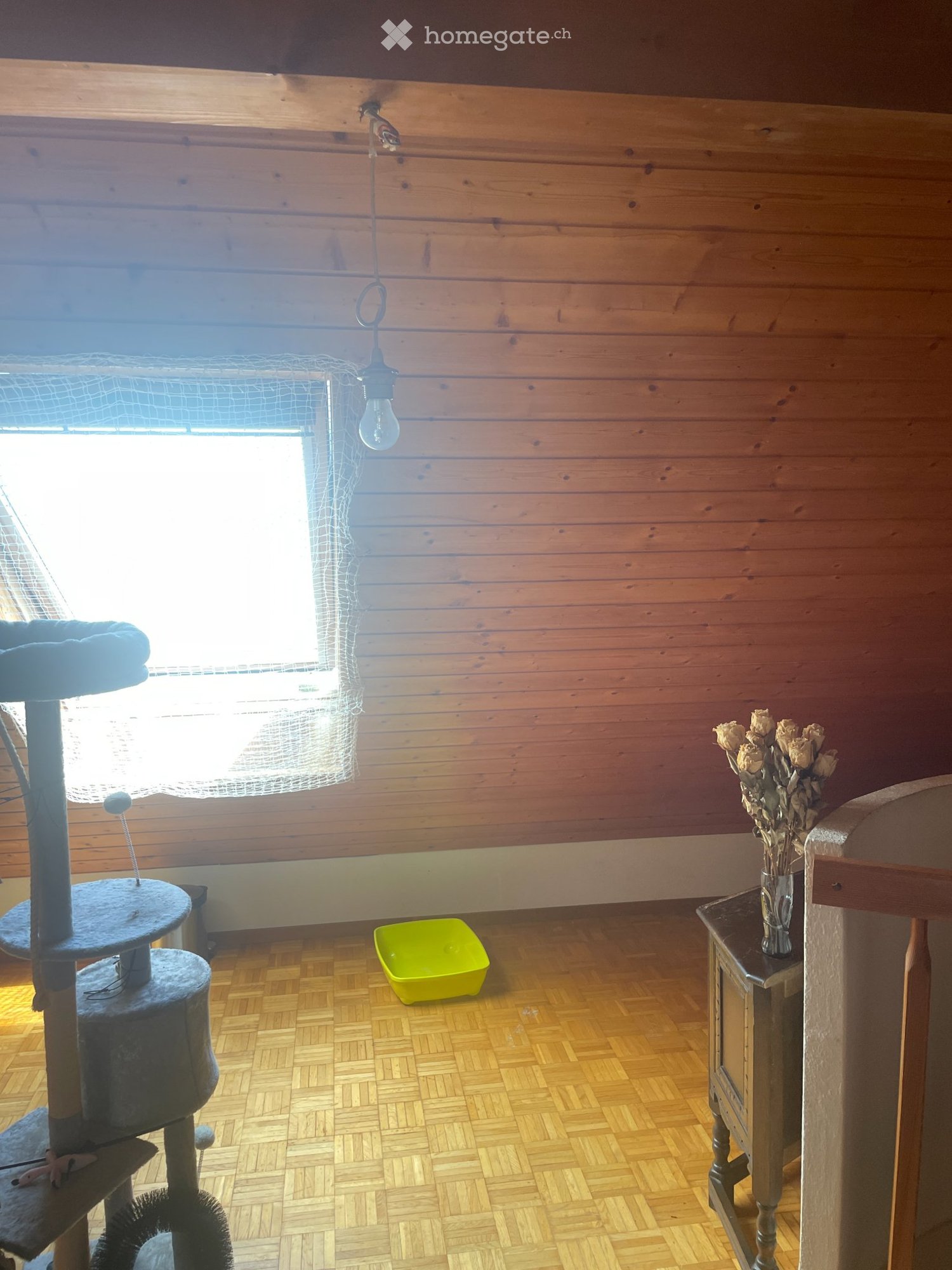 1 room single room