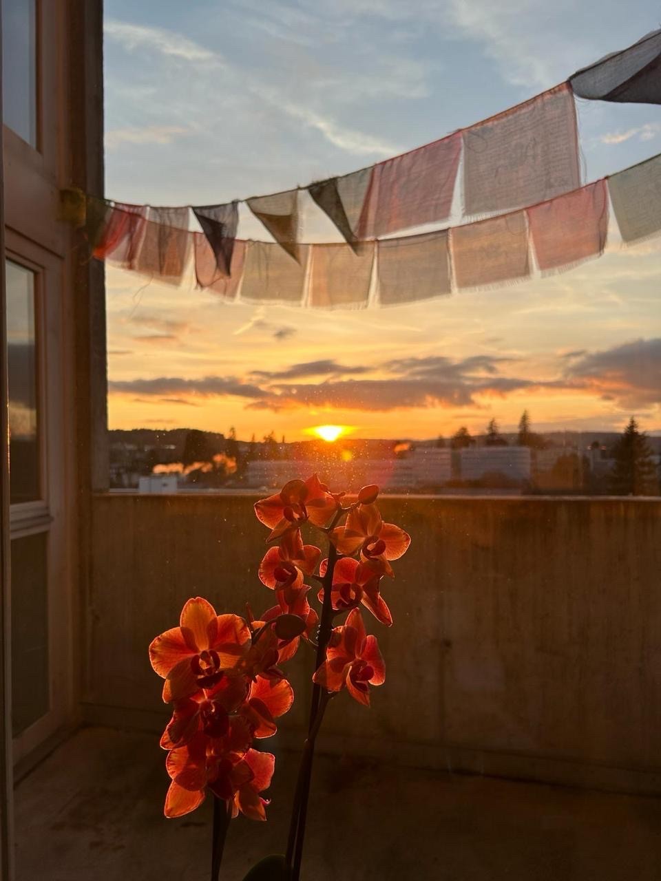 Stanza in un appartamento condiviso, foto 5 di 9