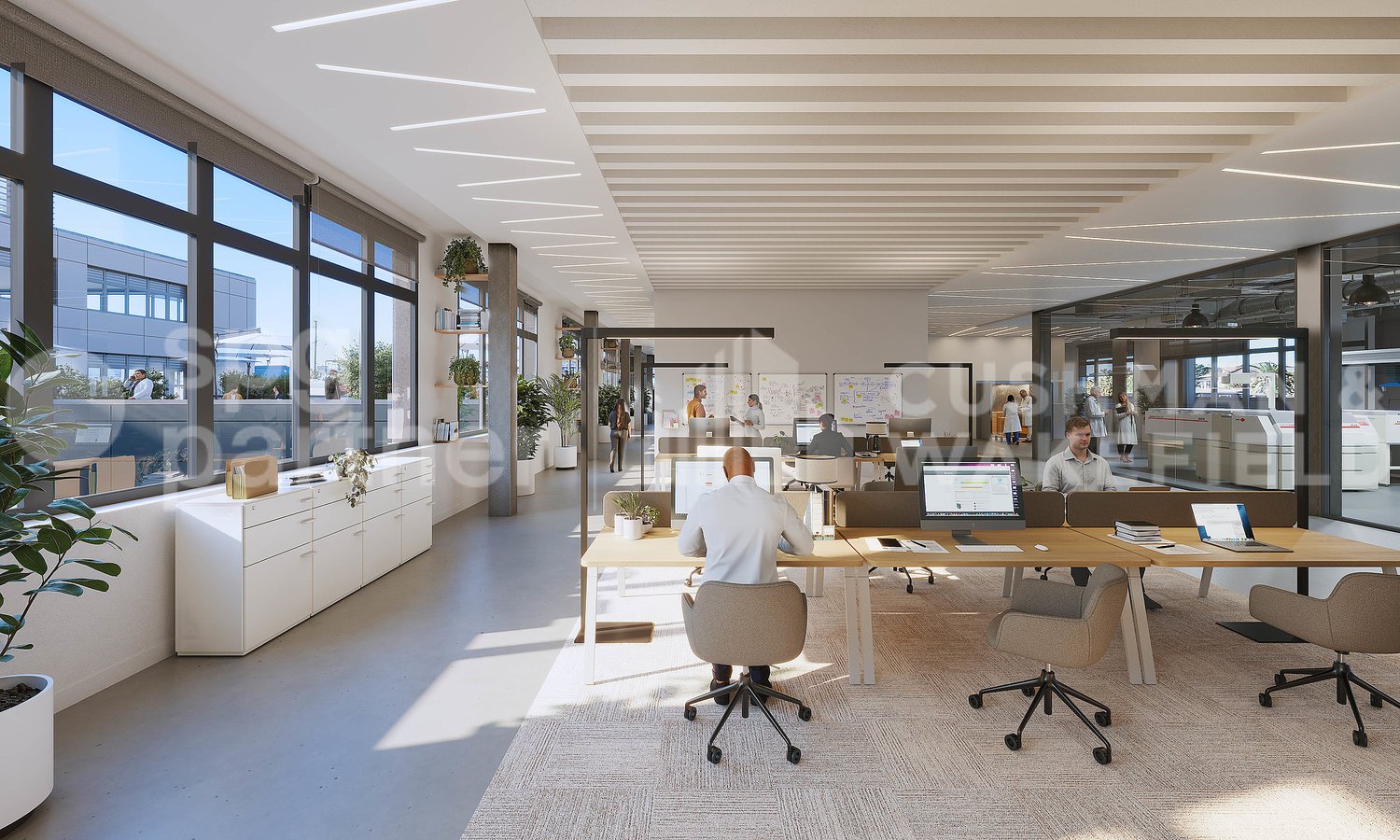 1500m² commerciale
