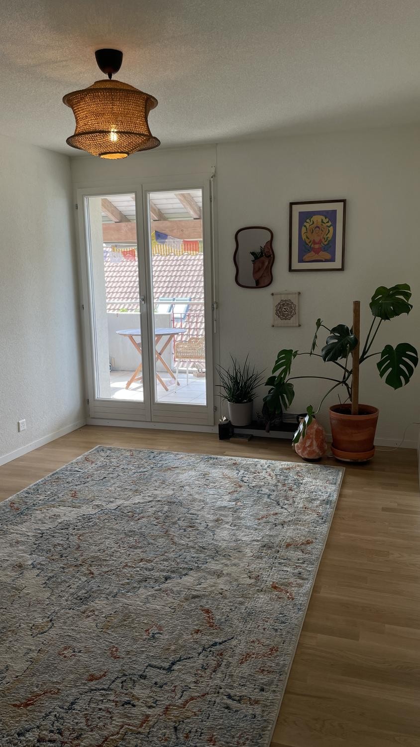 Appartamento di 3 ½ locali