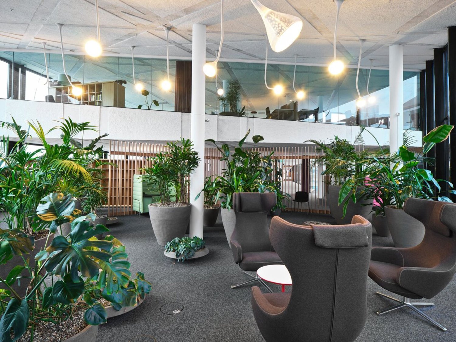 2130m² ufficio, foto 4 di 10