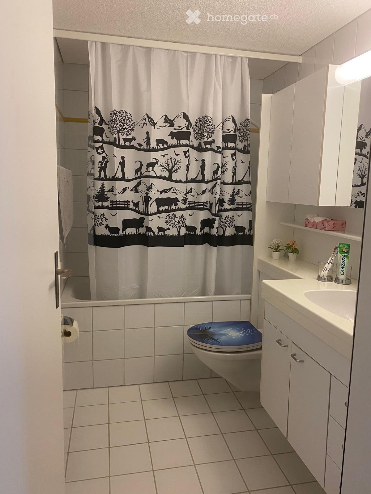 Appartement de 2 ½ pièces