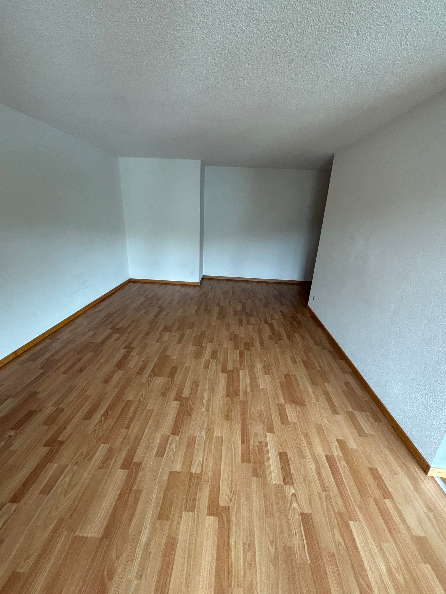 Appartamento di 3 ½ locali, foto 3 di 8