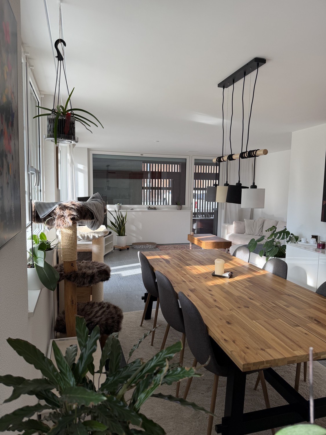 Appartamento di 3 ½ locali, foto 1 di 10