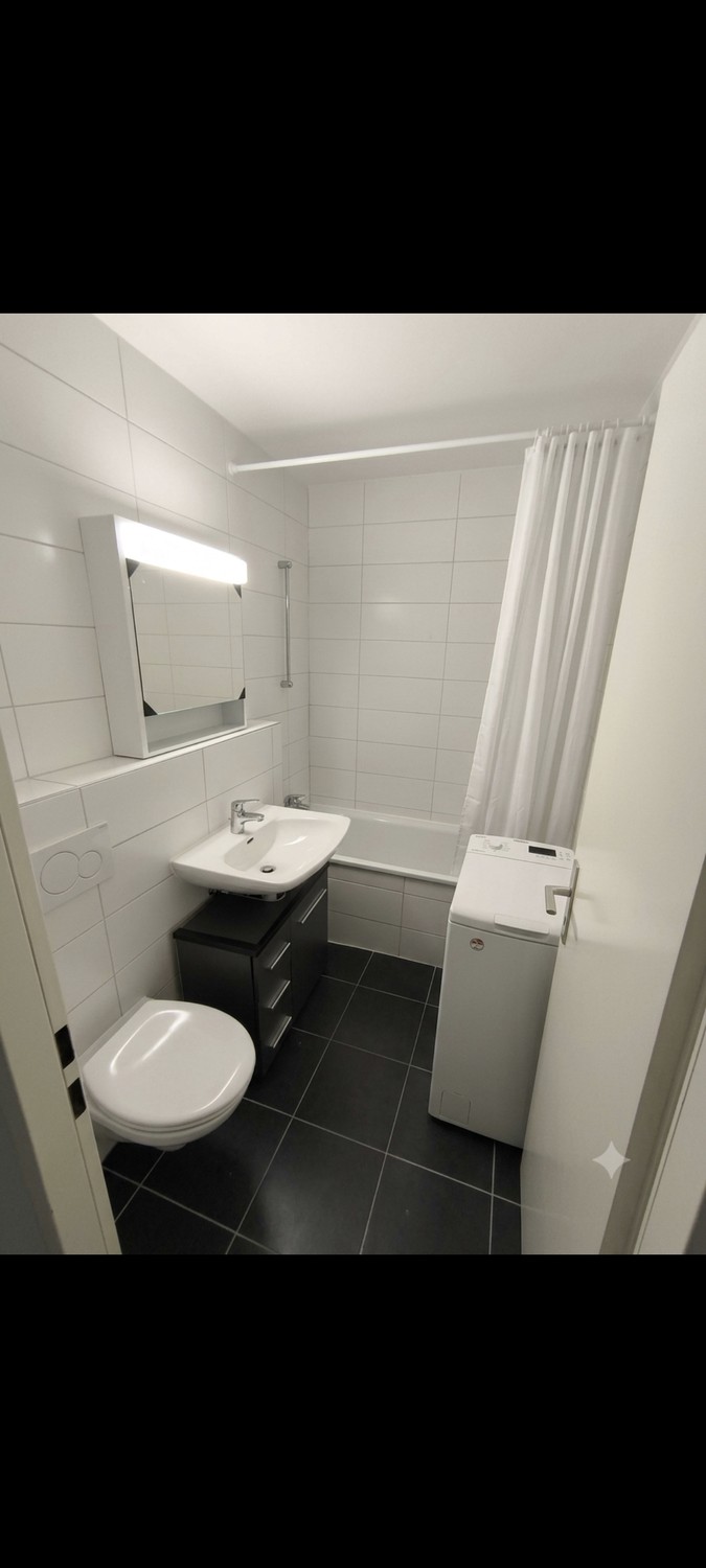 Appartamento di 3 ½ locali