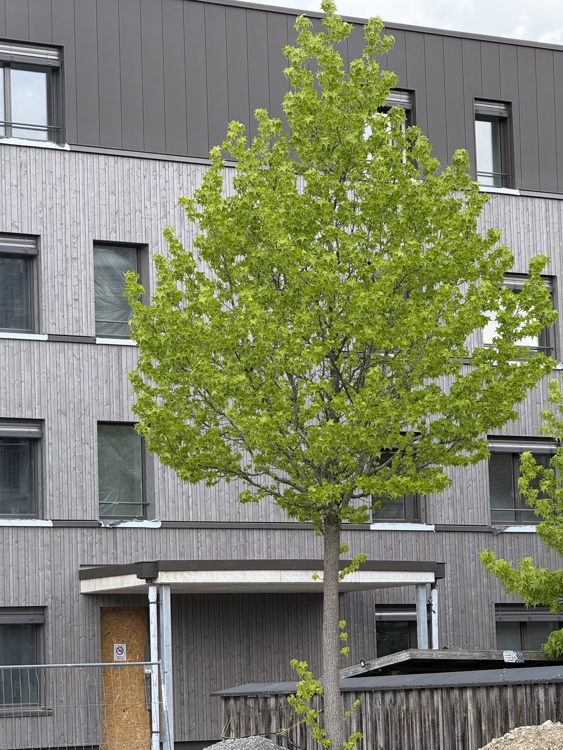 Attico di 5 ½ locali, foto 4 di 4