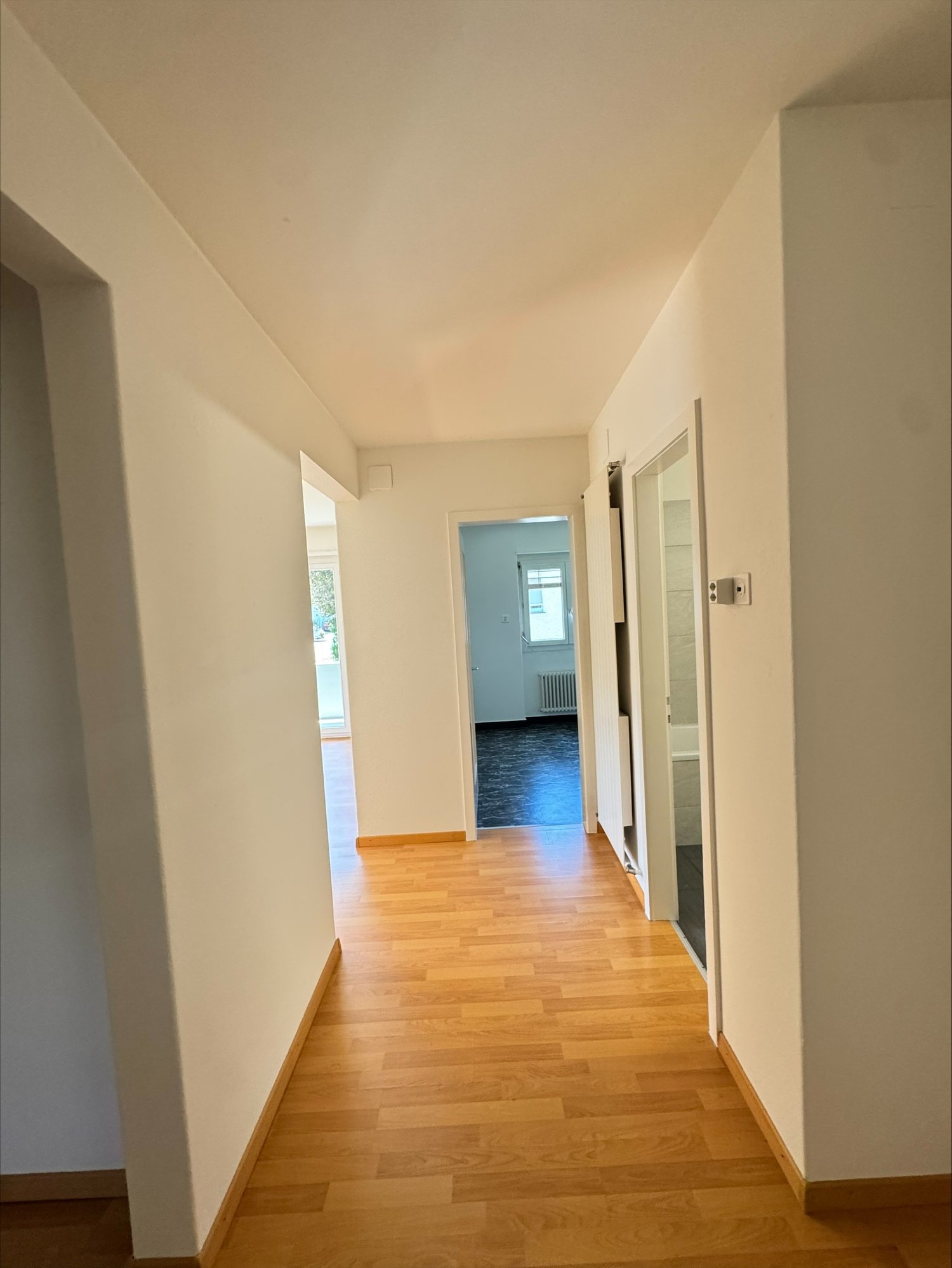 Appartamento di 3 ½ locali