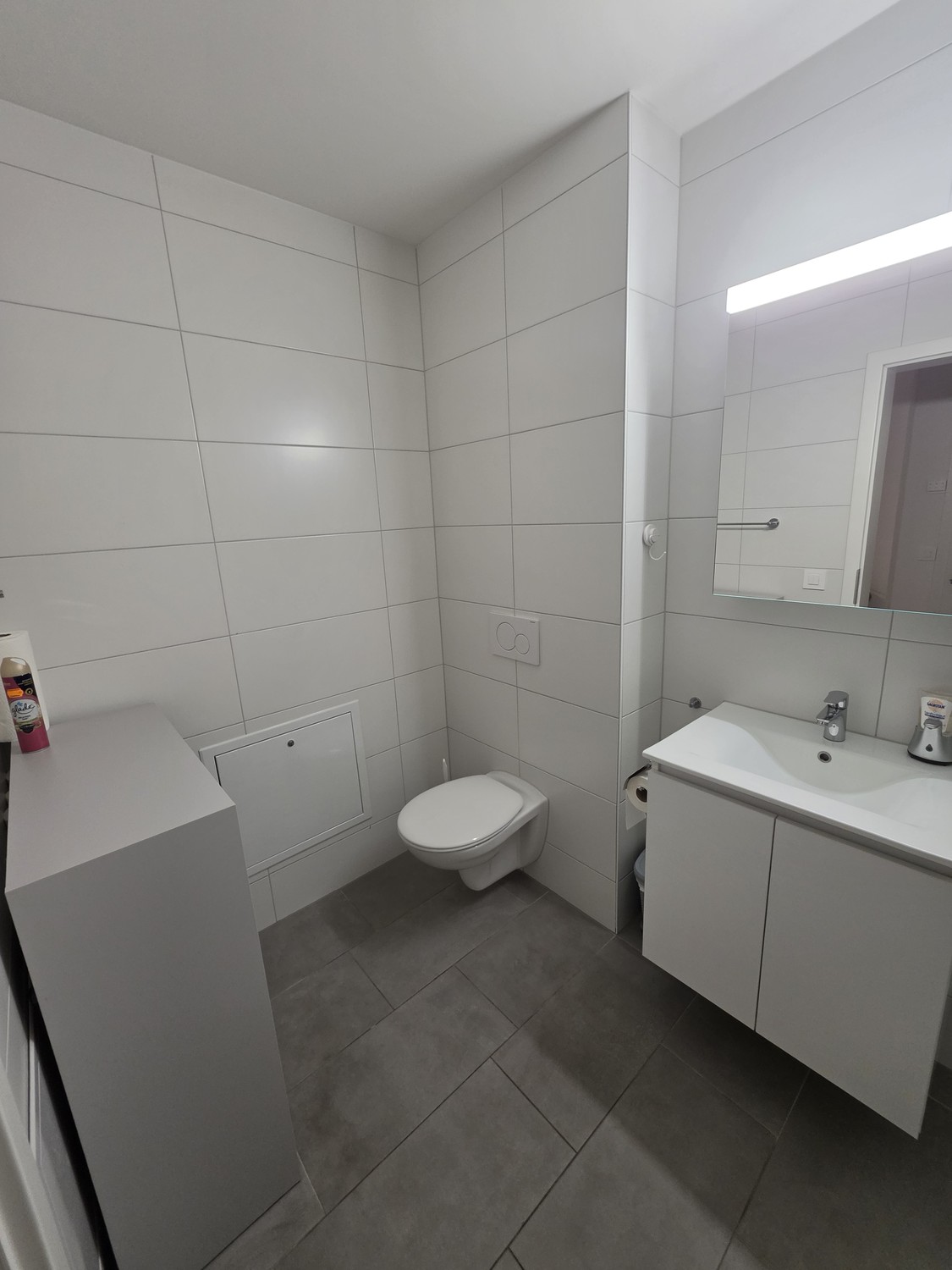 Appartamento di 2 ½ locali, foto 6 di 10