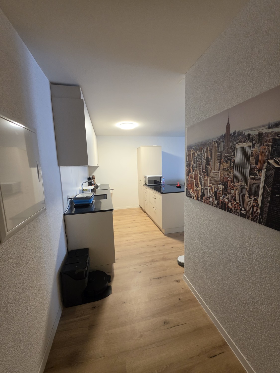 Appartamento di 2 ½ locali, foto 2 di 10