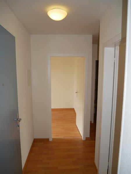 appartamento di 3 locali