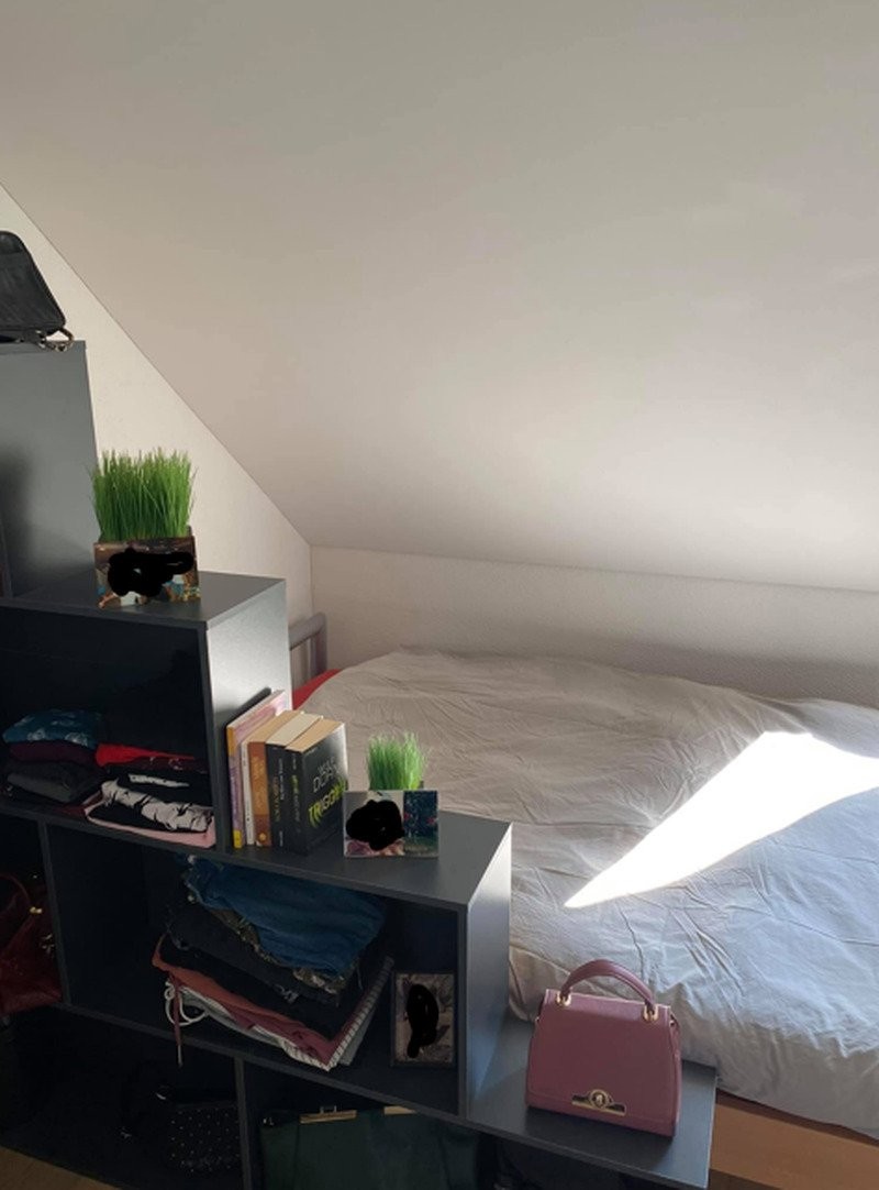 Appartamento arredato di 3 ½ locali, foto 6 di 8