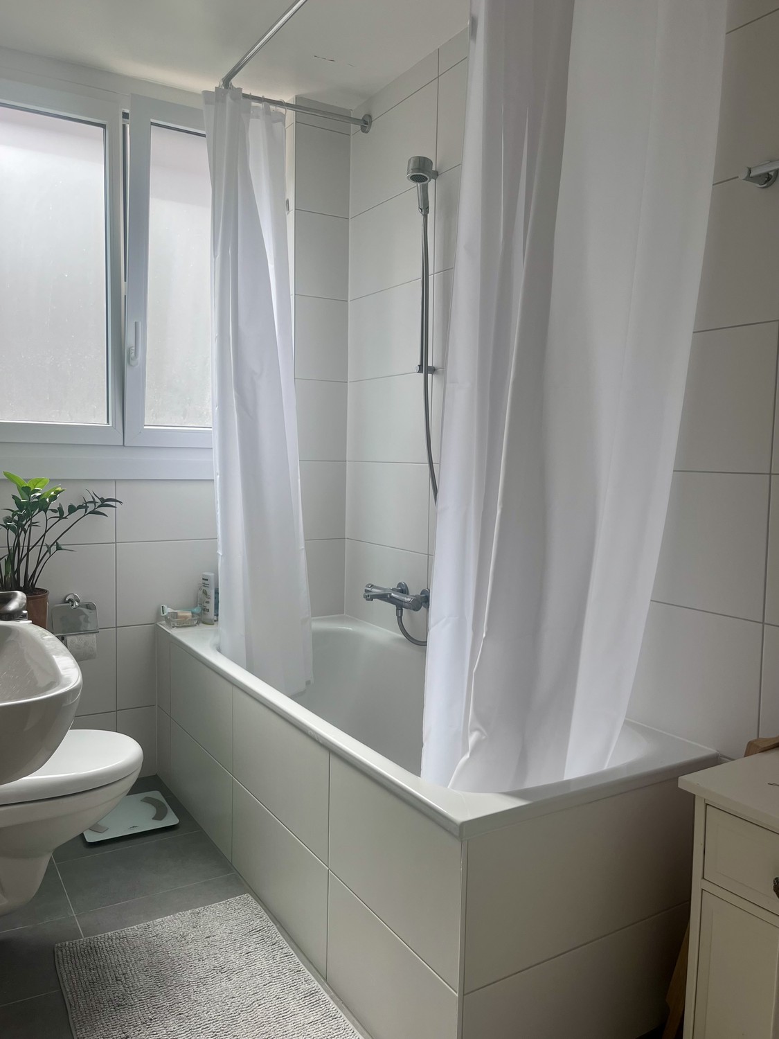 Appartamento di 3 ½ locali, foto 2 di 6