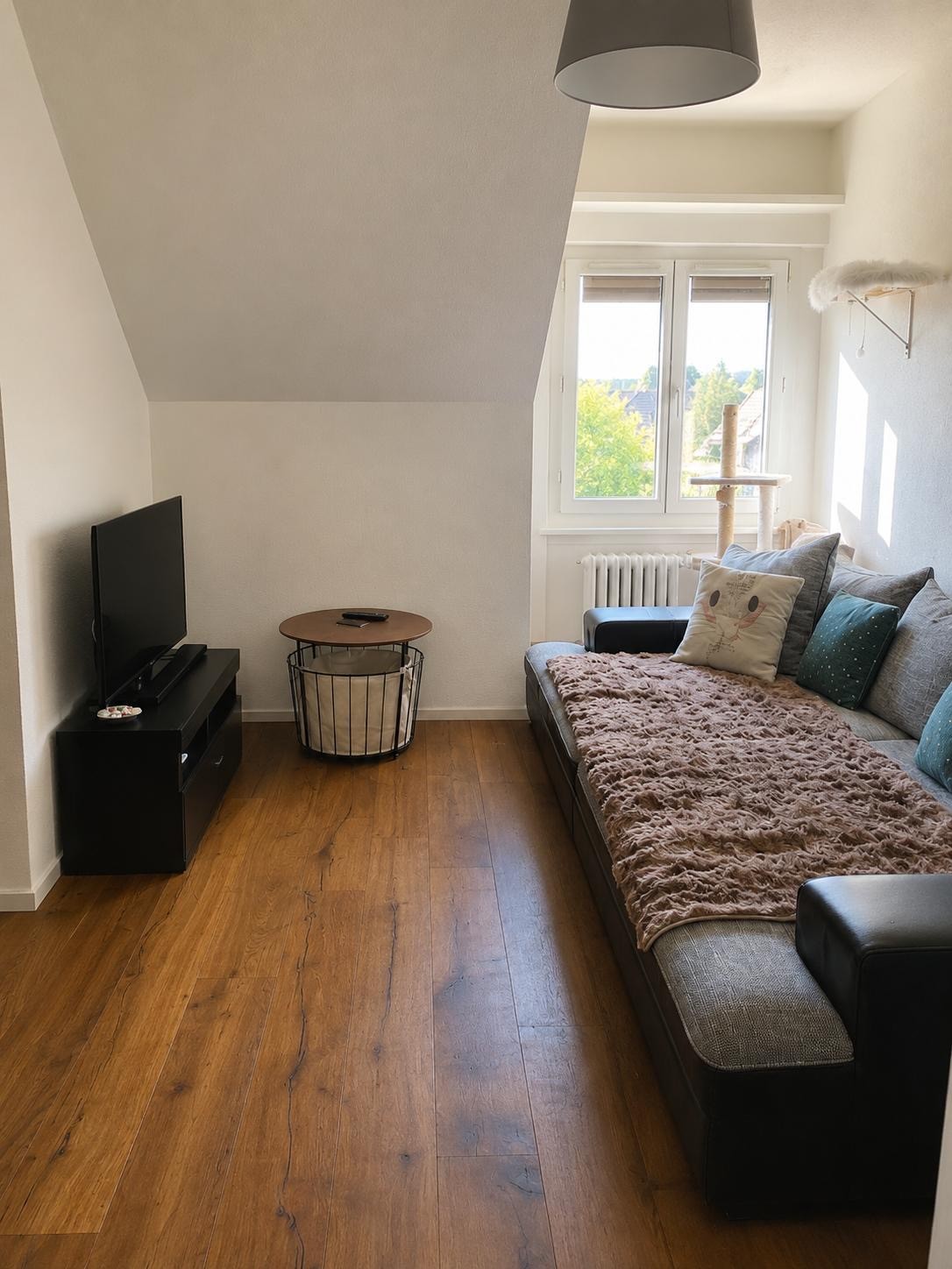 Appartement de 3 ½ pièces