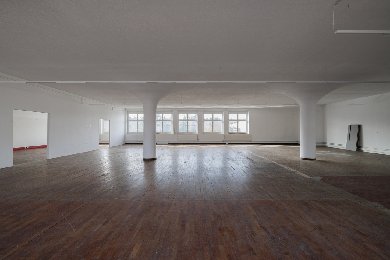 584m² commercial
