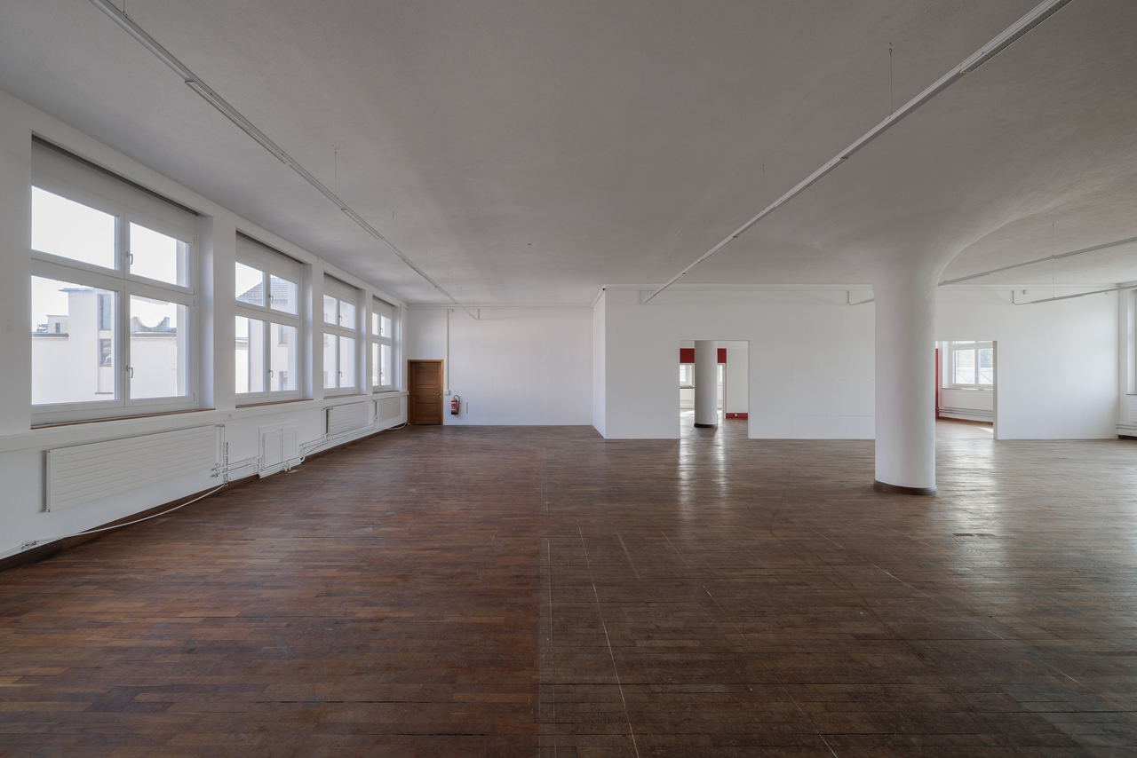 584m² commercial