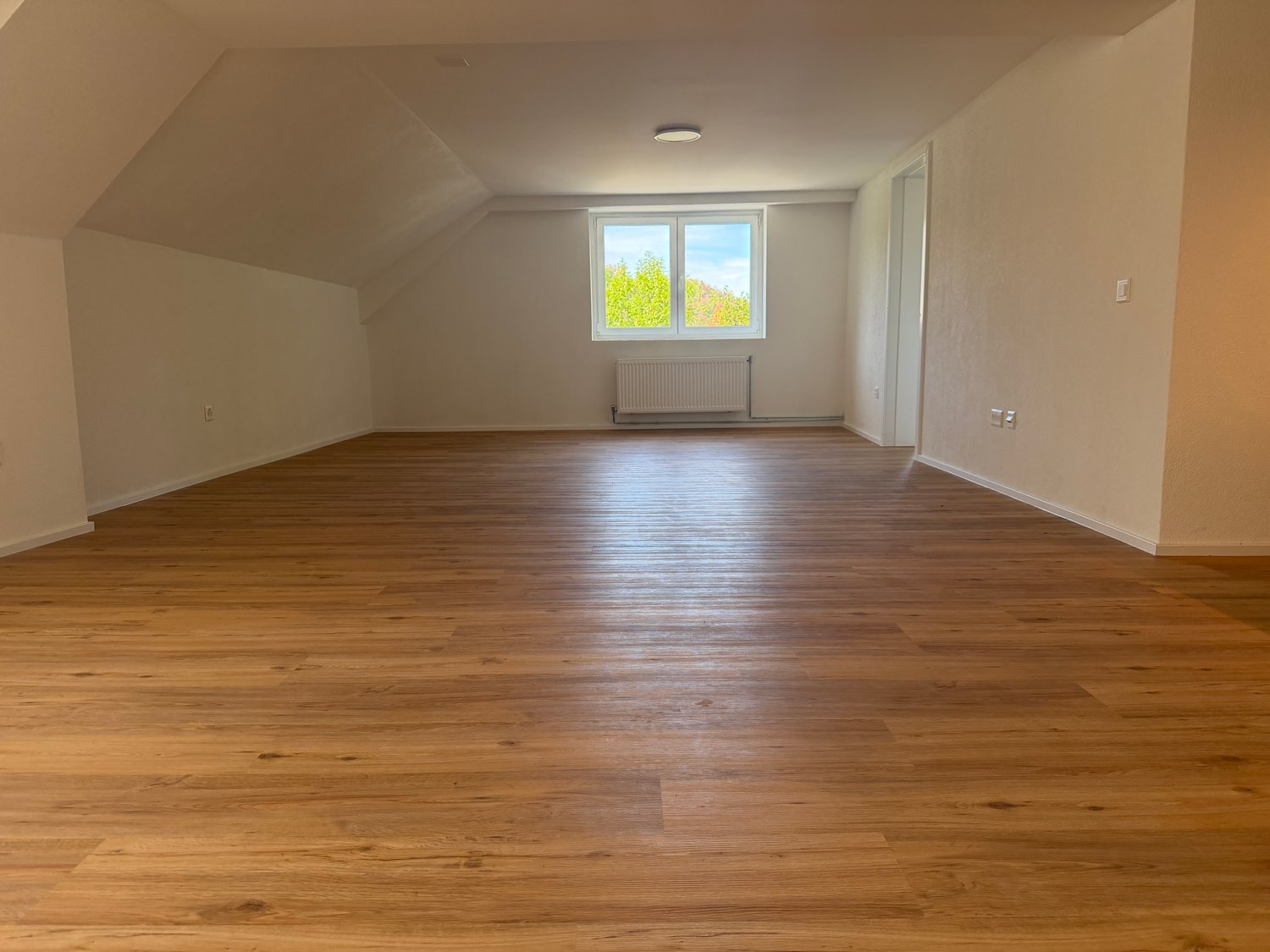Appartamento di 3 ½ locali, foto 1 di 10