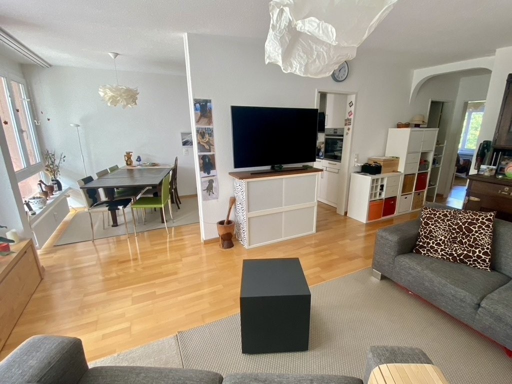 appartamento arredato di 2 ½ locali