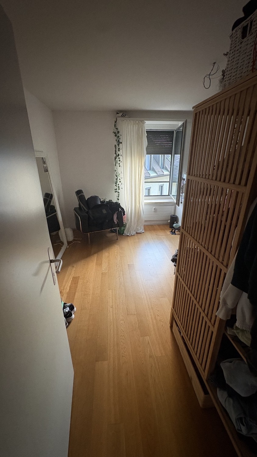 Room in a shared flat