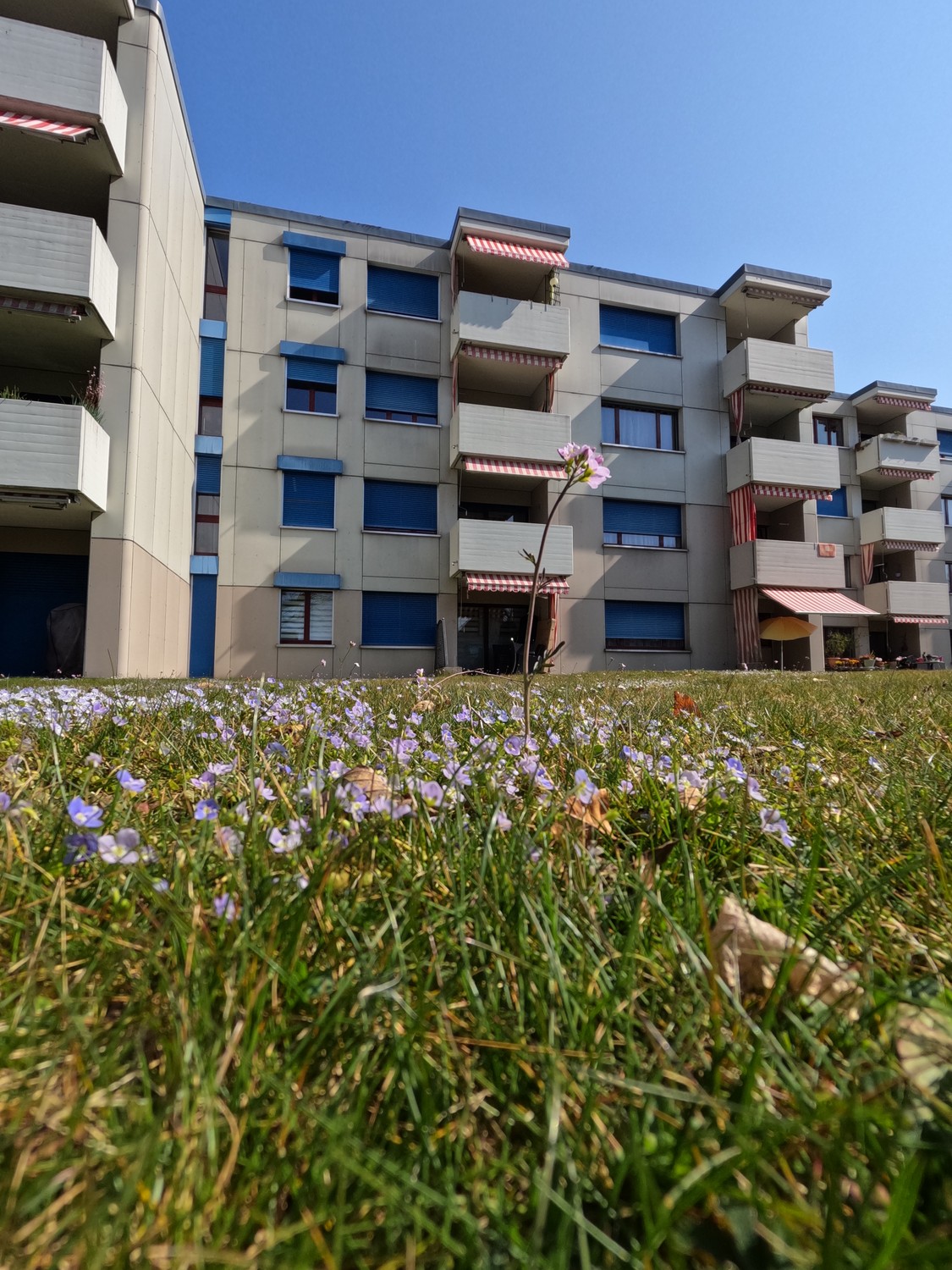 Appartamento di 4 ½ locali, foto 1 di 9