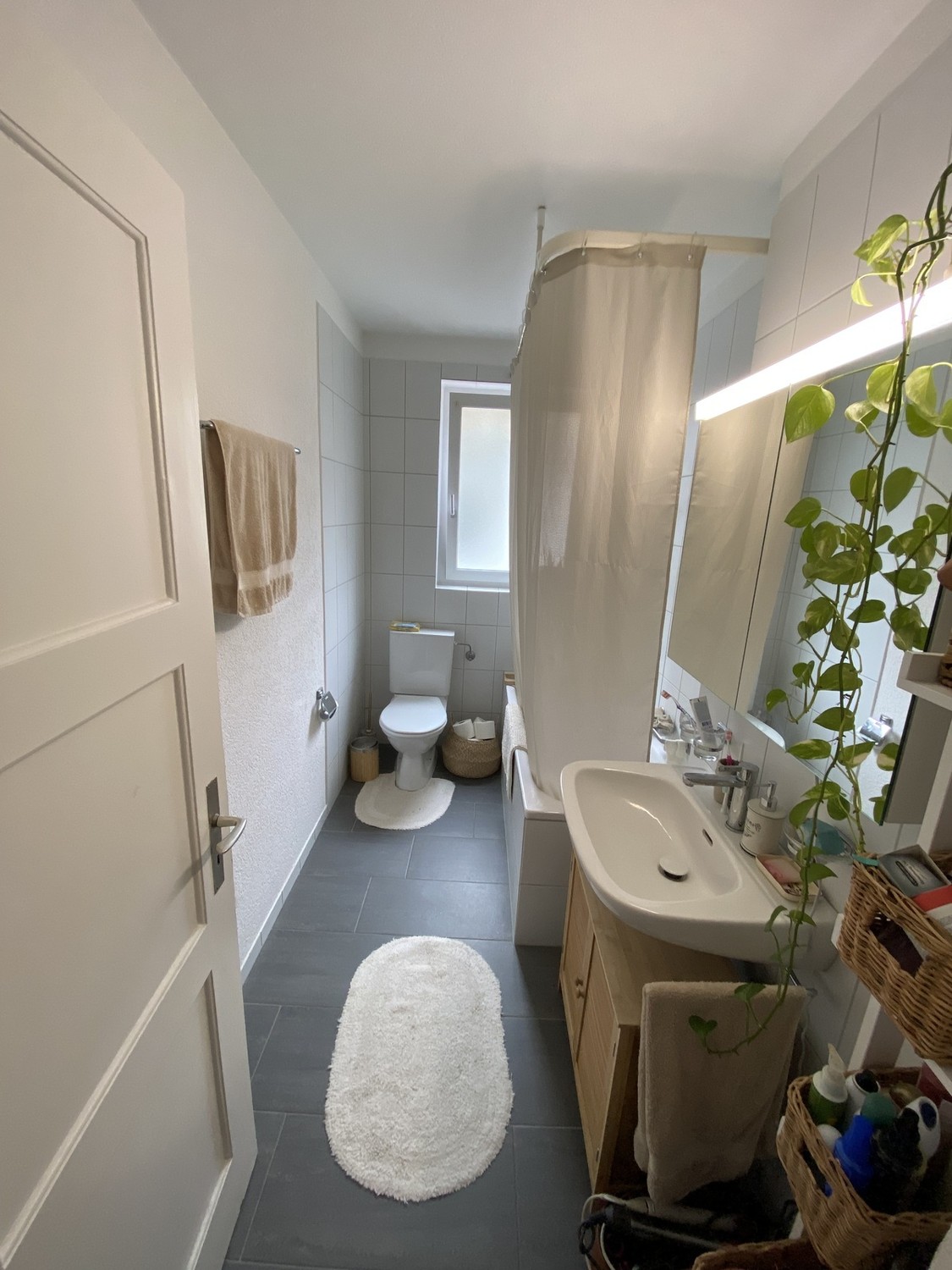 Room in a shared flat