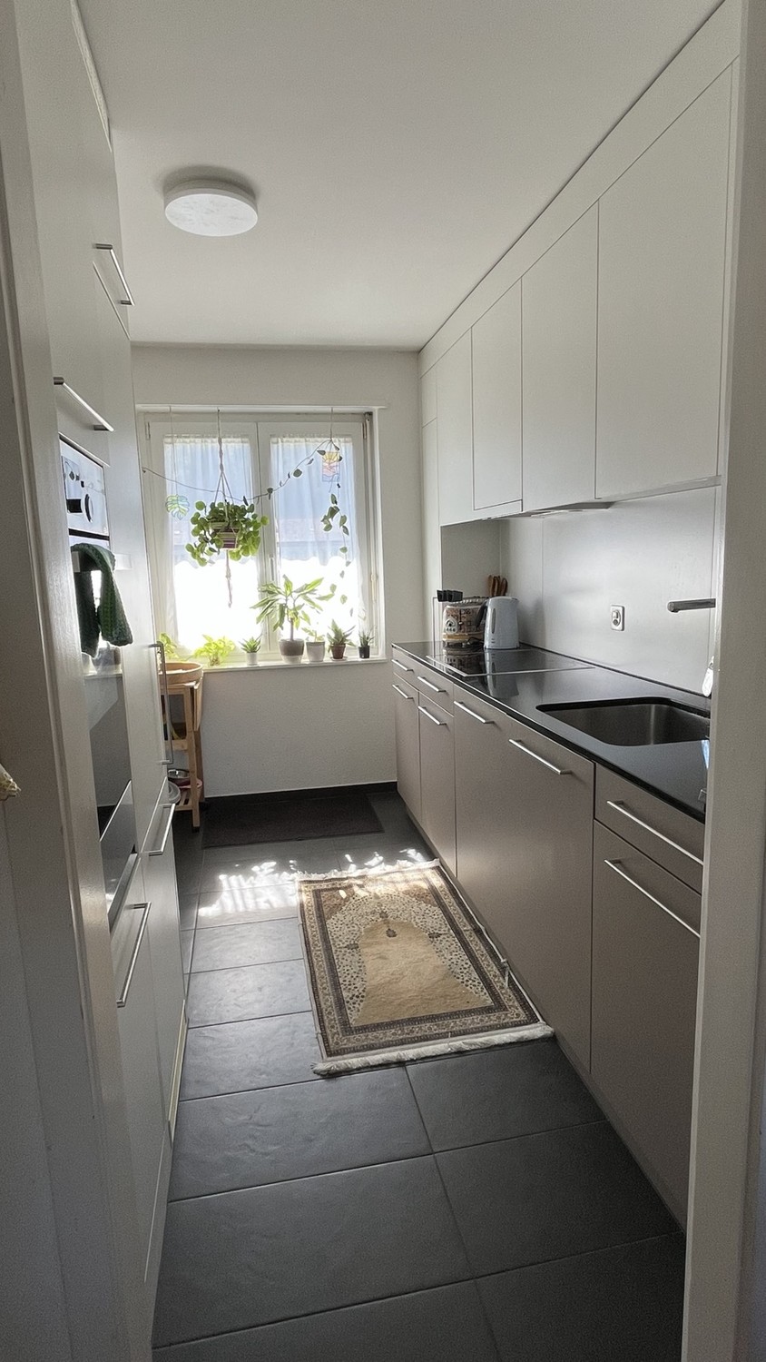 Appartamento di 3 ½ locali