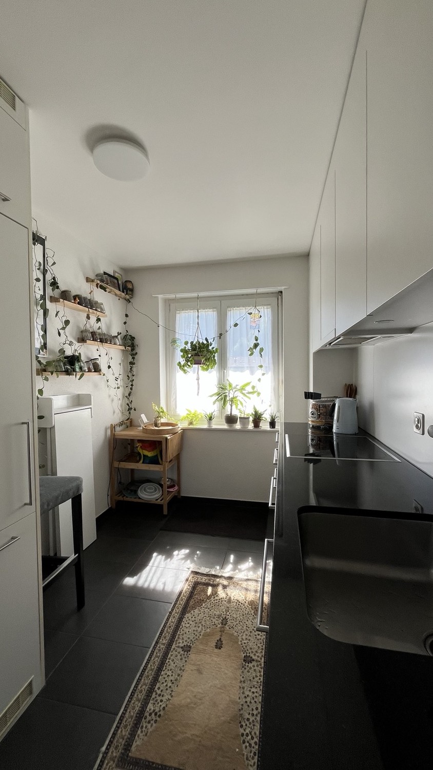 Appartamento di 3 ½ locali
