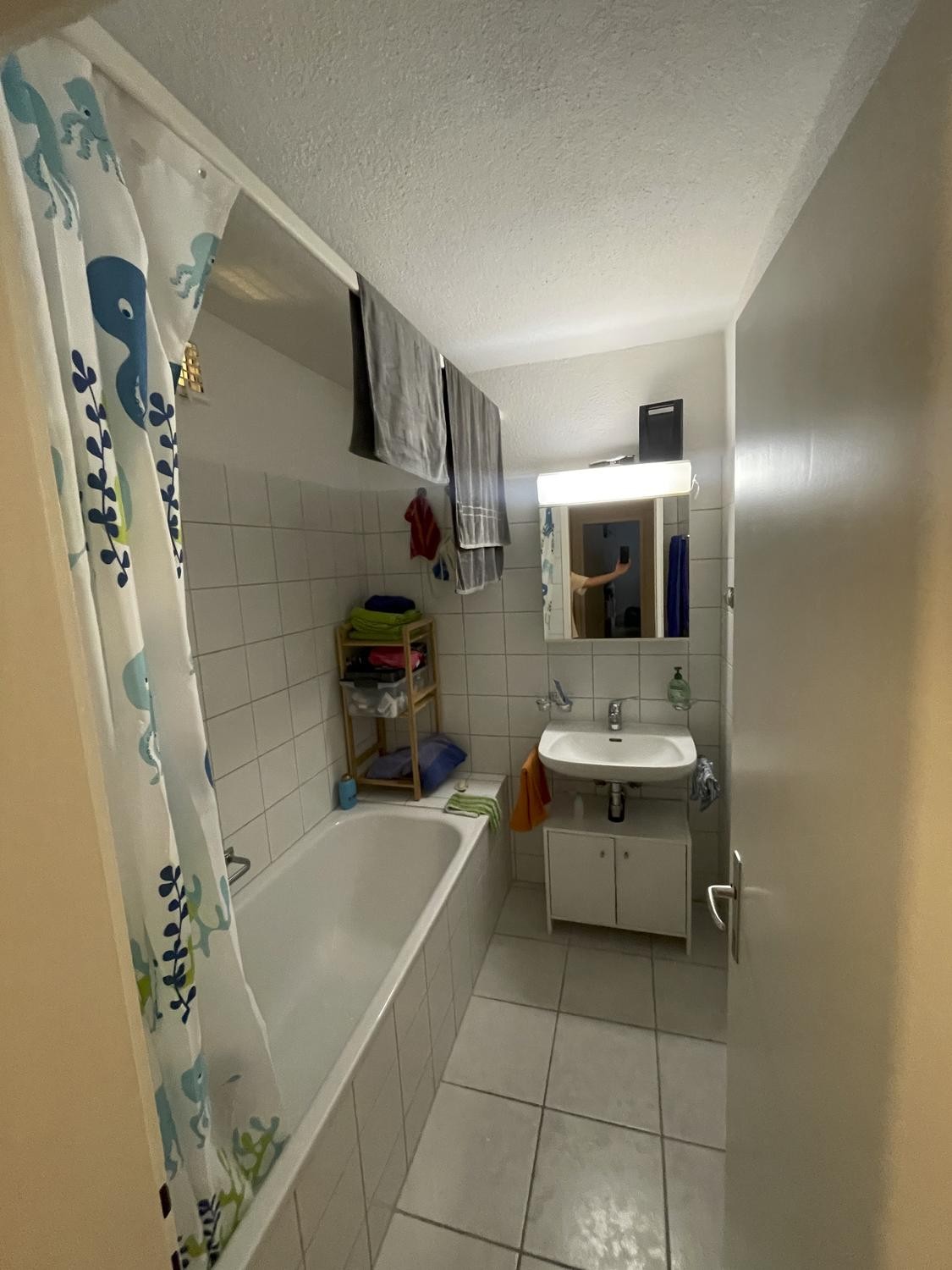 Appartamento di 4 ½ locali, foto 9 di 10