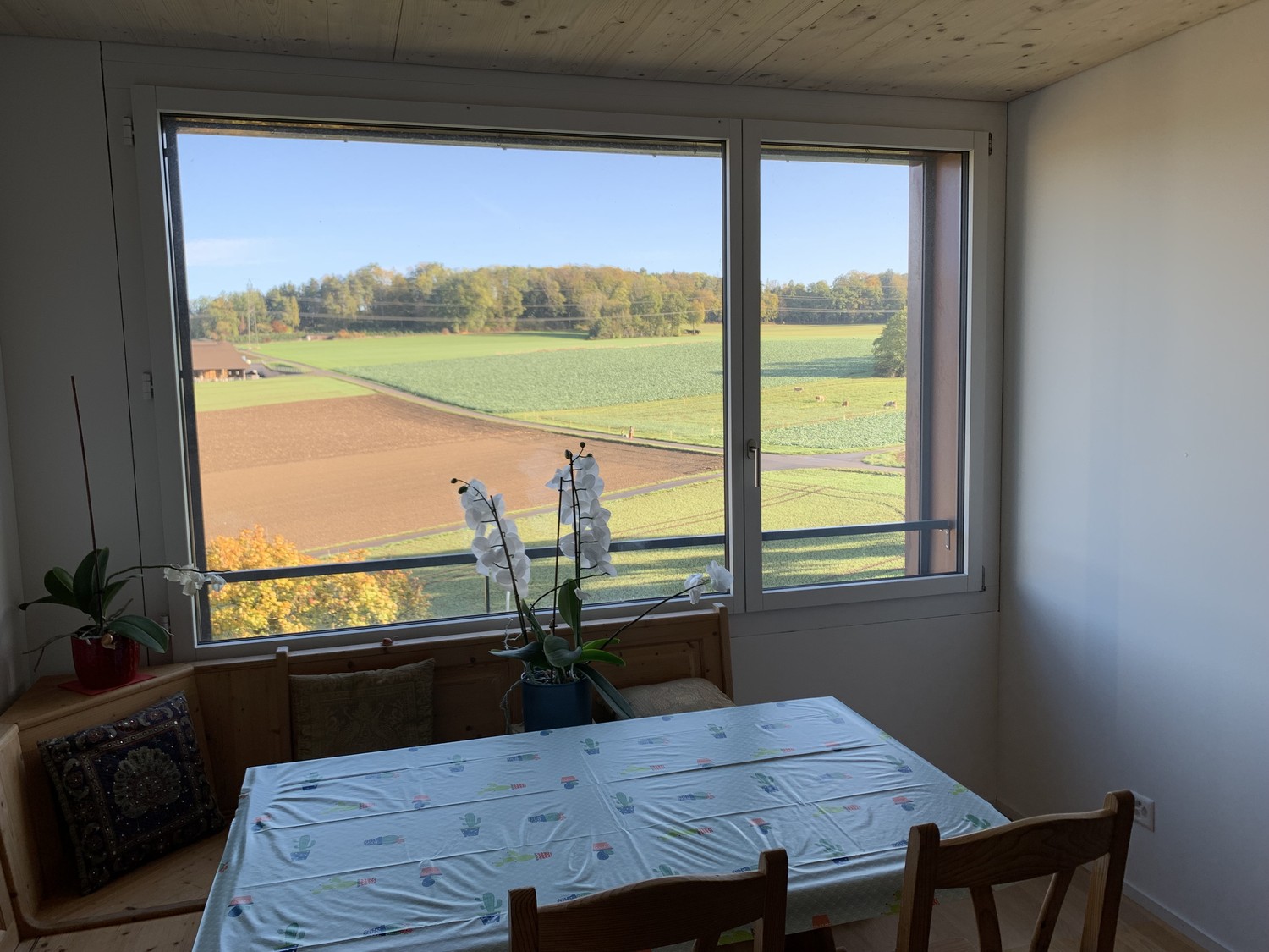 Appartamento di 2 ½ locali, foto 1 di 6