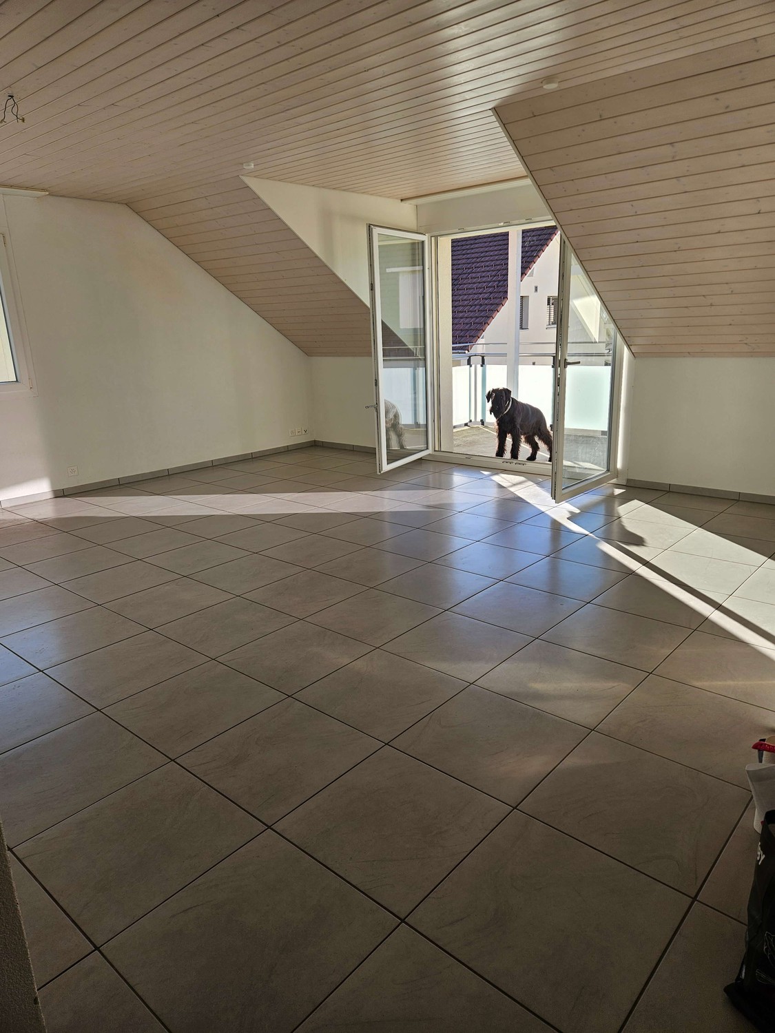 Appartamento di 2 ½ locali, foto 2 di 8