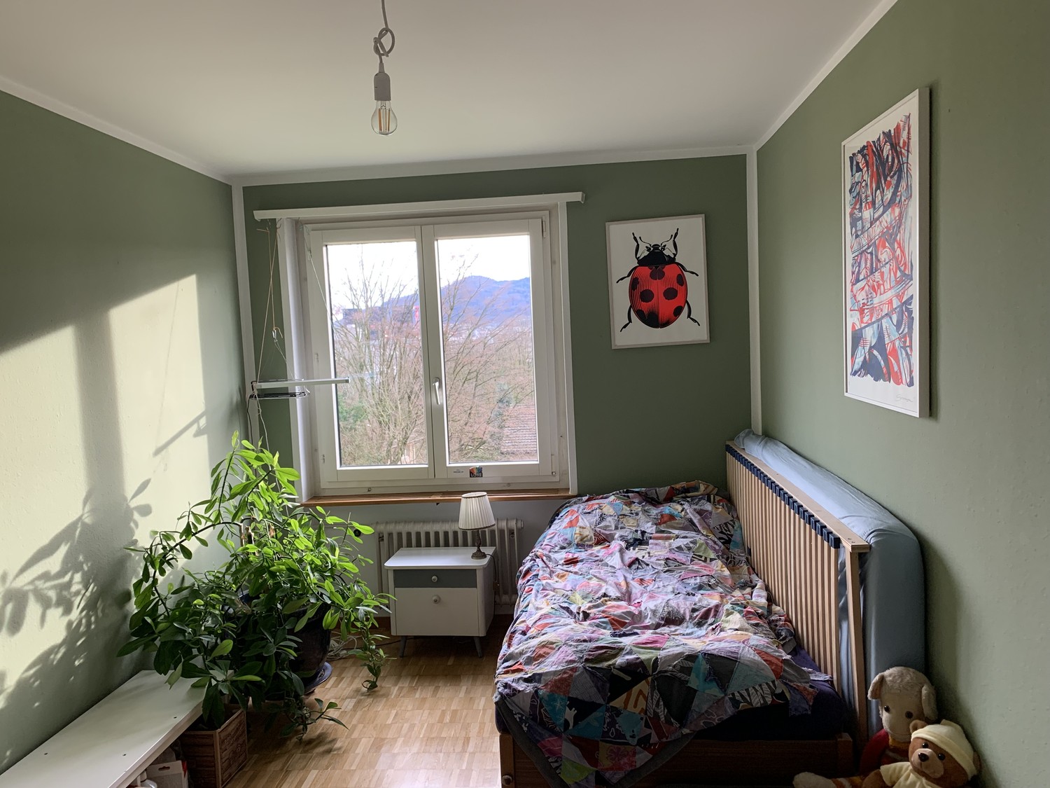 Room in a shared flat