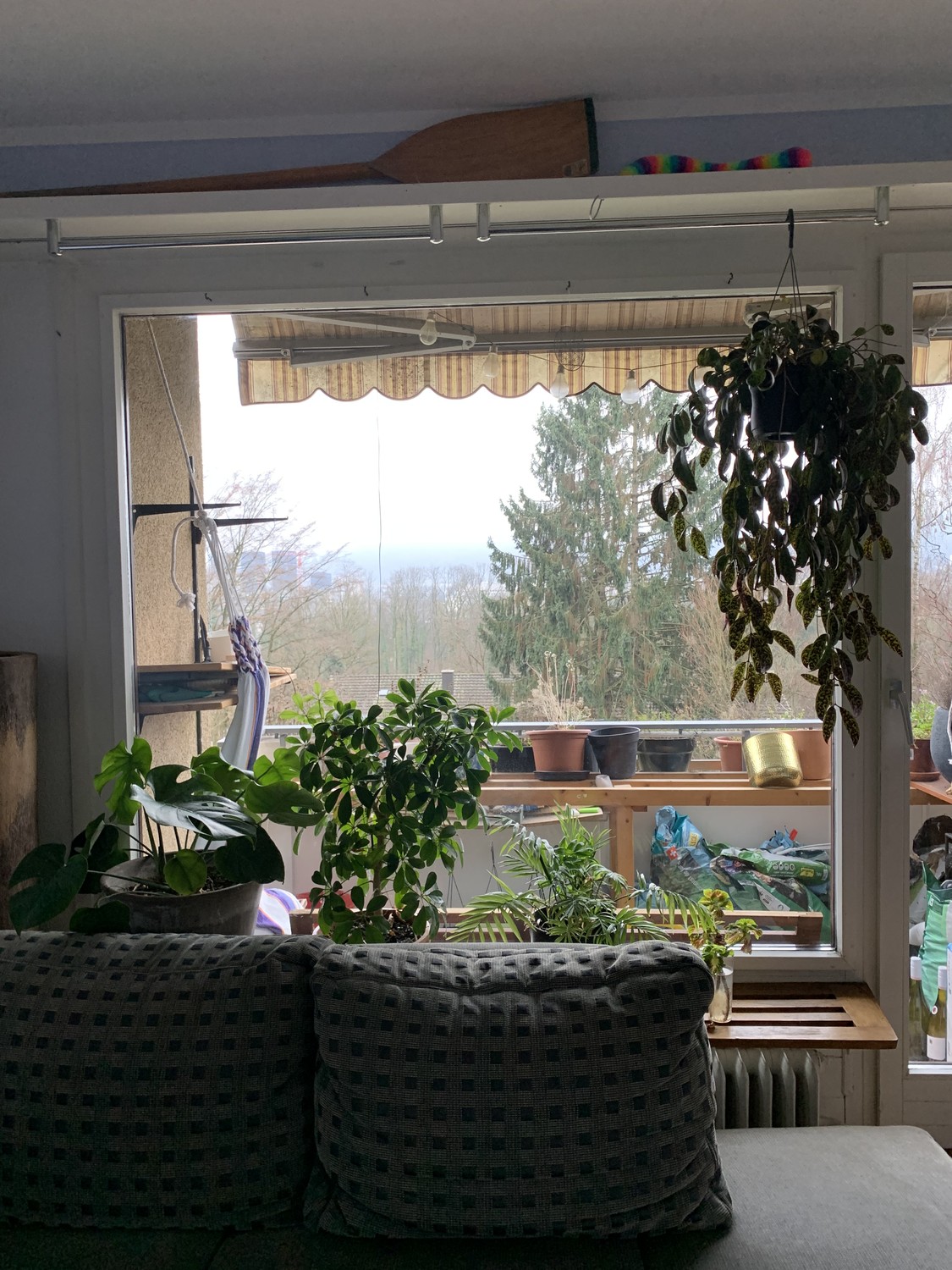 Room in a shared flat