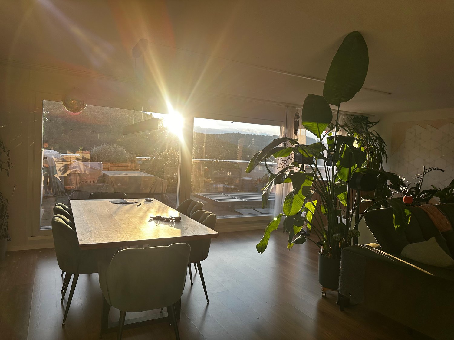 Room in a shared flat