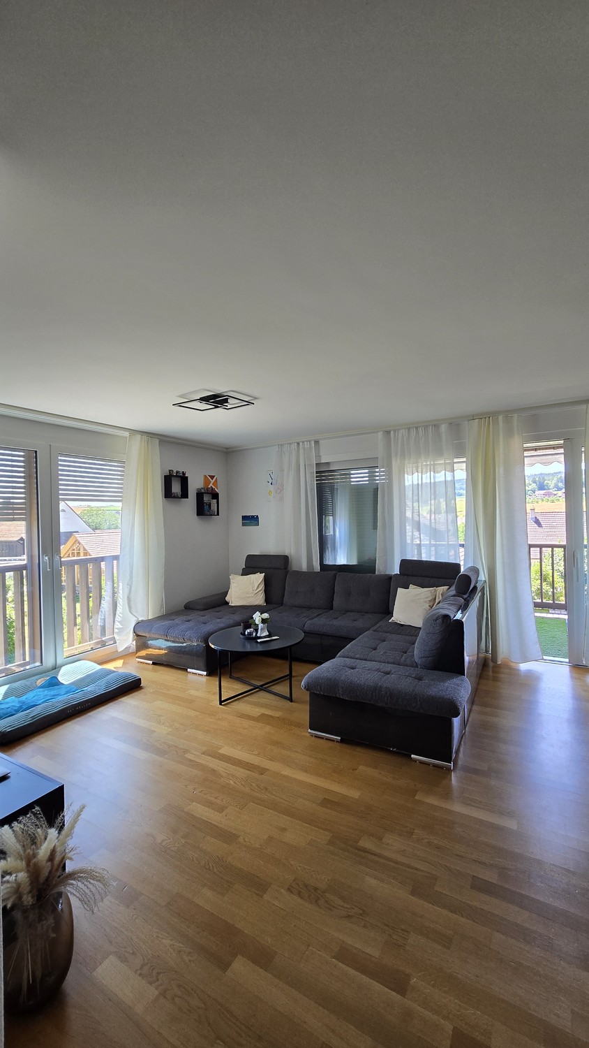 appartamento di 3 ½ locali