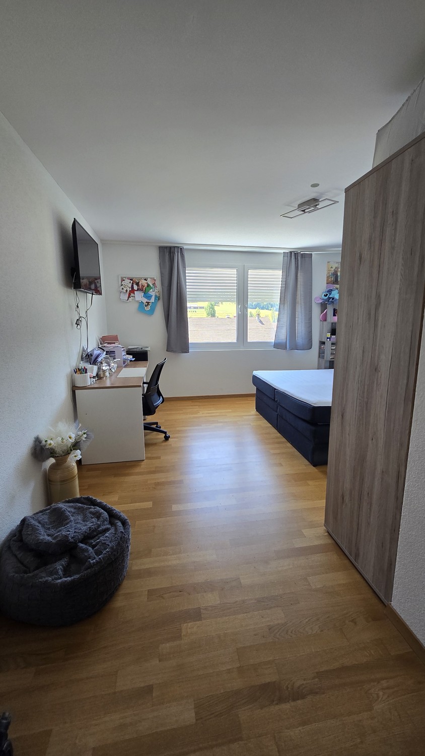 appartamento di 3 ½ locali