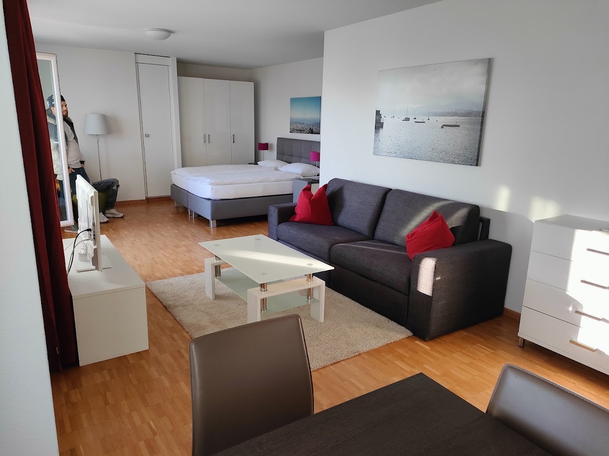 Appartamento di 2 ½ locali, foto 2 di 6