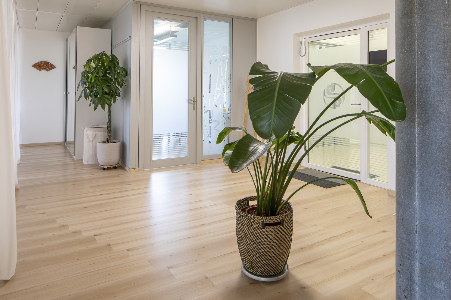 100m² commerciale