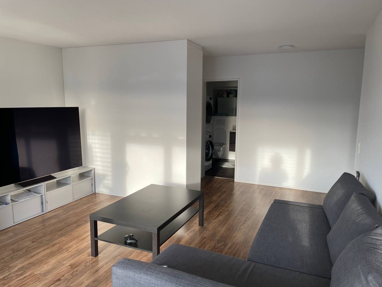 3 ½ Zimmer Wohnung