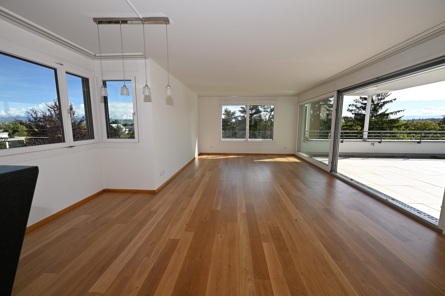 Casa a schiera in terrazza con 5 ½ locali, foto 3 di 10