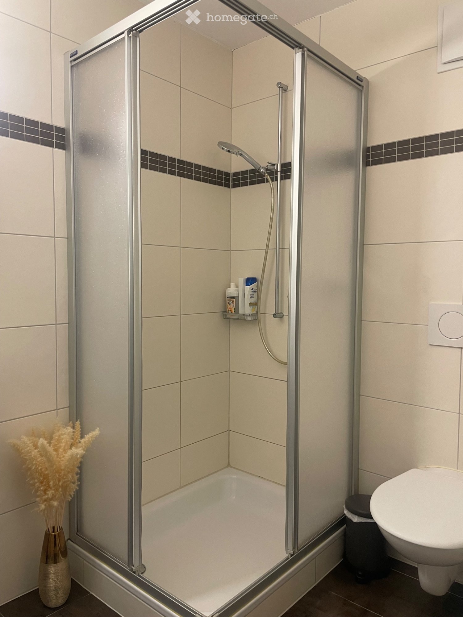 Appartamento di 2 ½ locali, foto 3 di 5