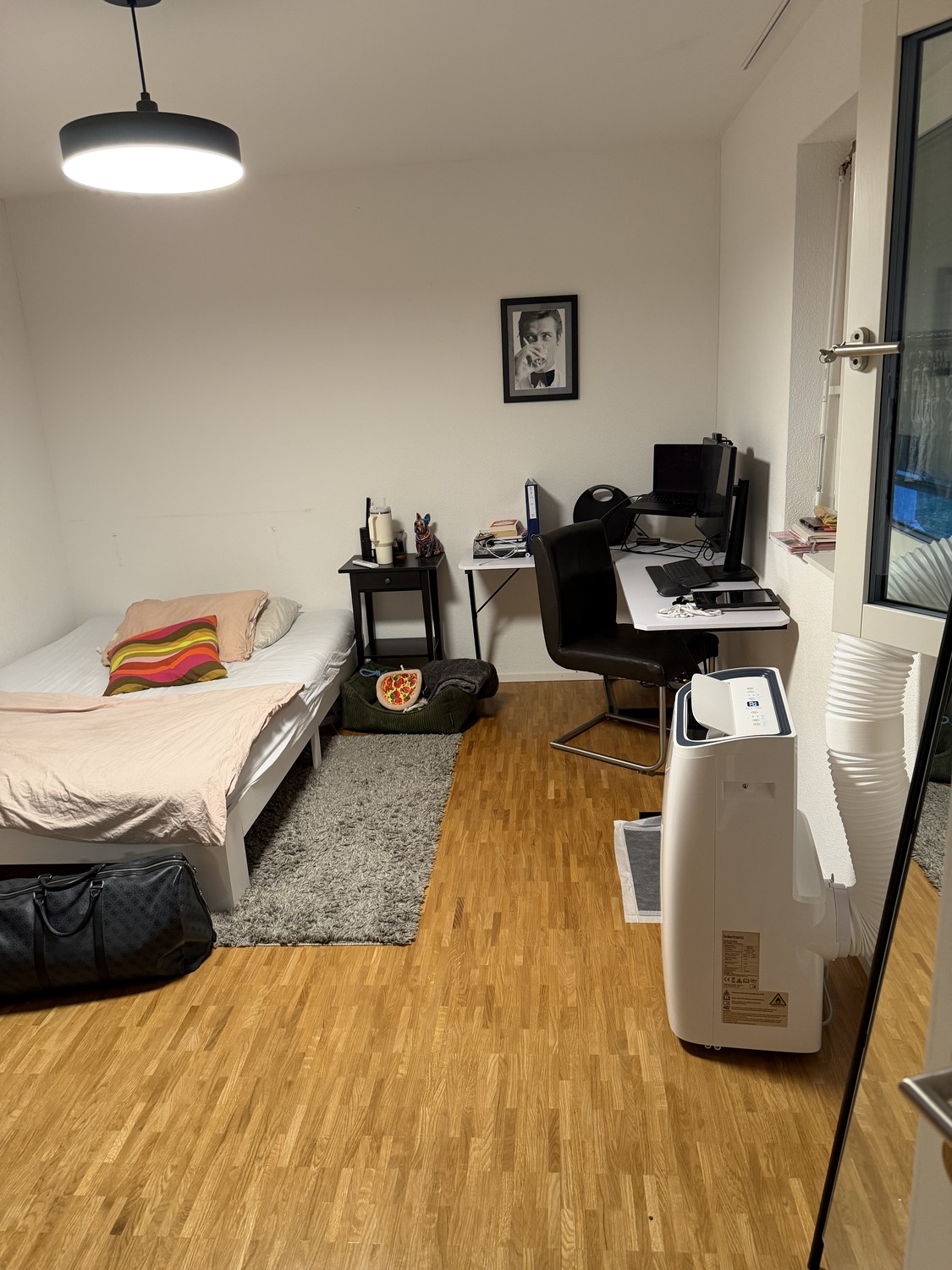 Appartamento di 3 ½ locali