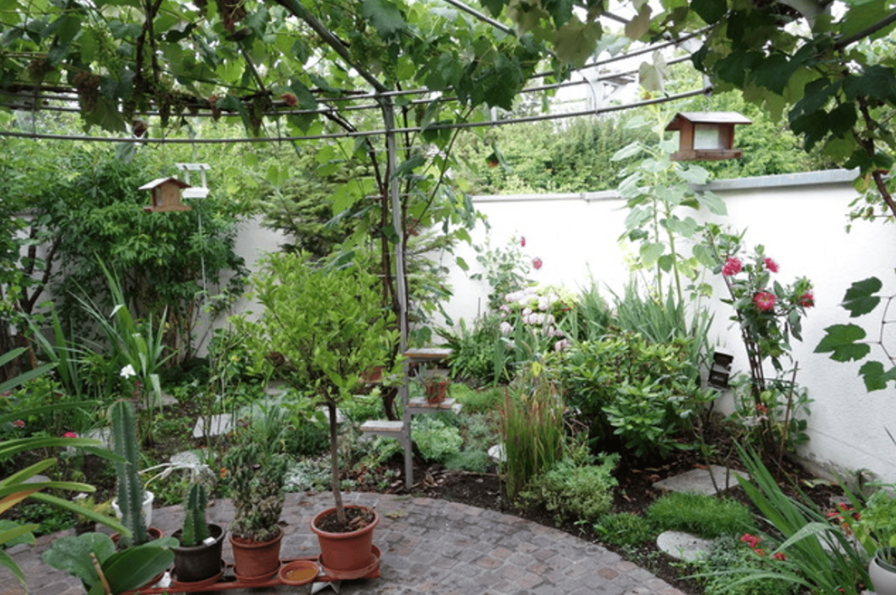 6 ½ rooms apartment