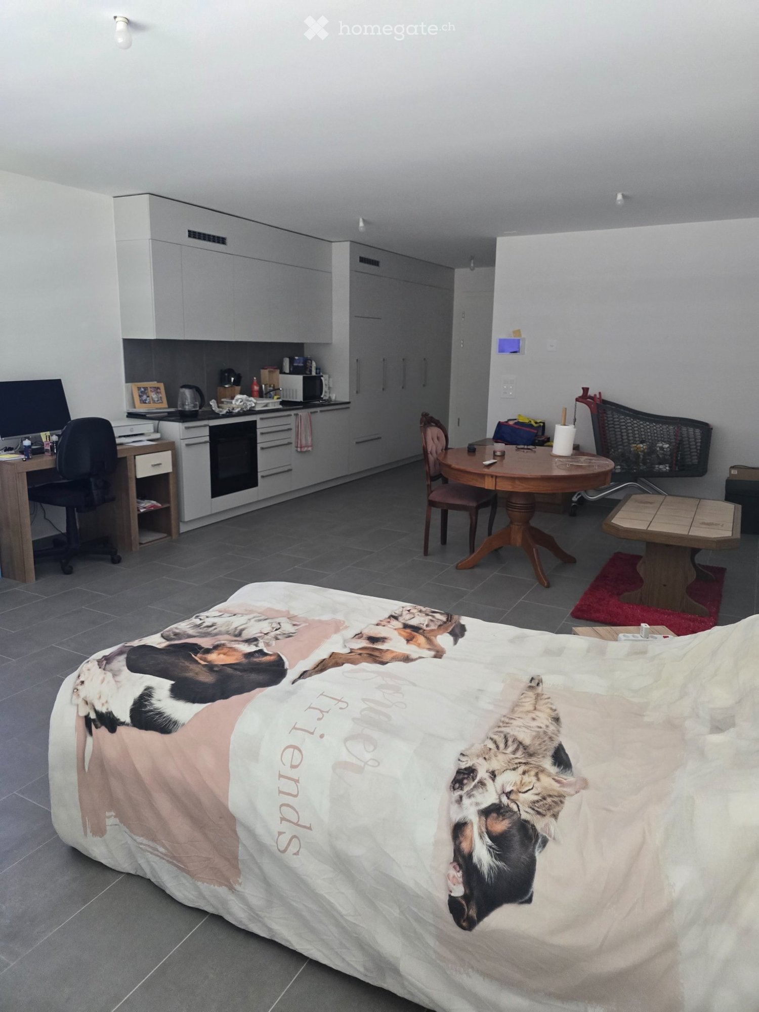 1 ½ Zimmer Wohnung