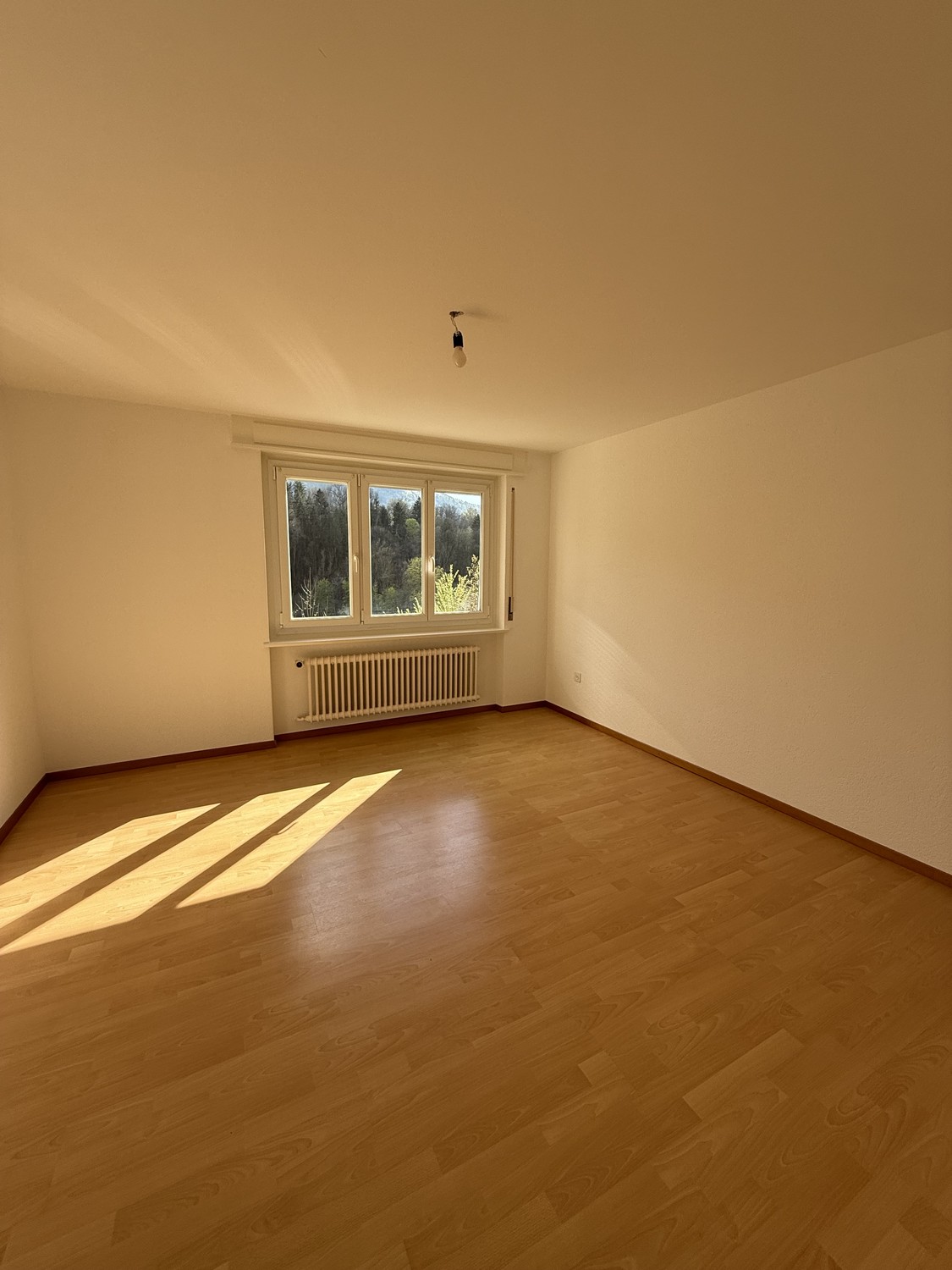3 ½ Zimmer-Wohnung
