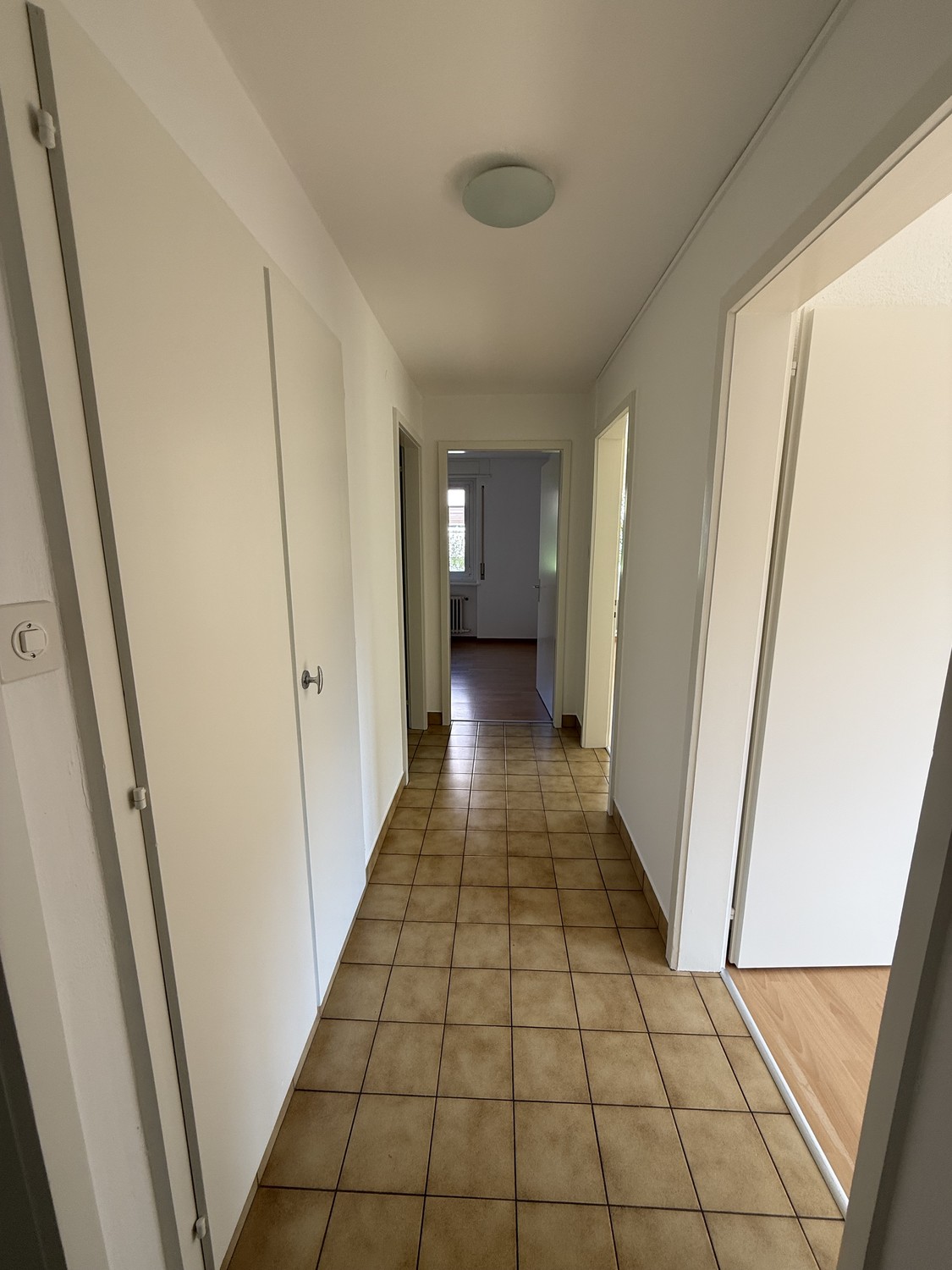 3 ½ Zimmer-Wohnung
