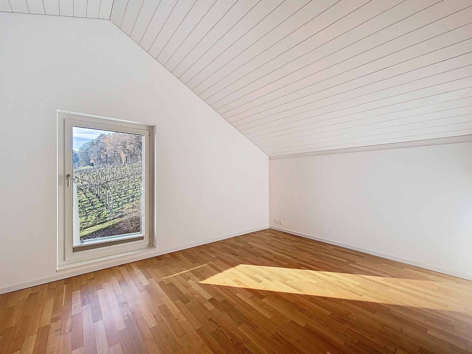 7 ½ Zimmer-Villa